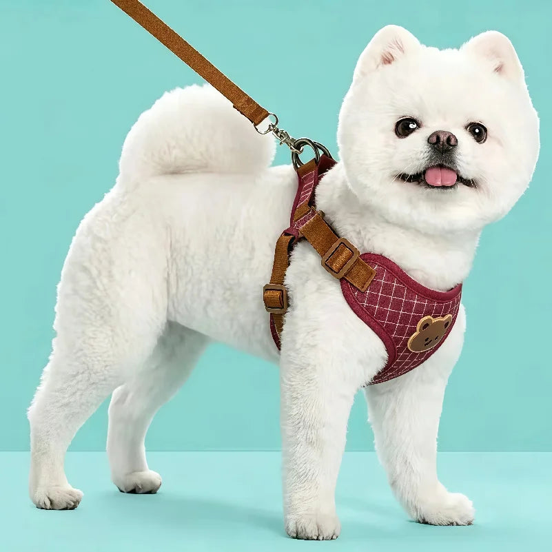 Pet Vest Harness & Leash Set