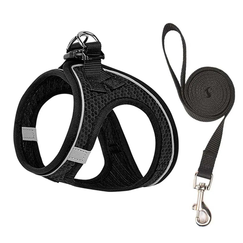 Pet Vest Harness & Leash Set
