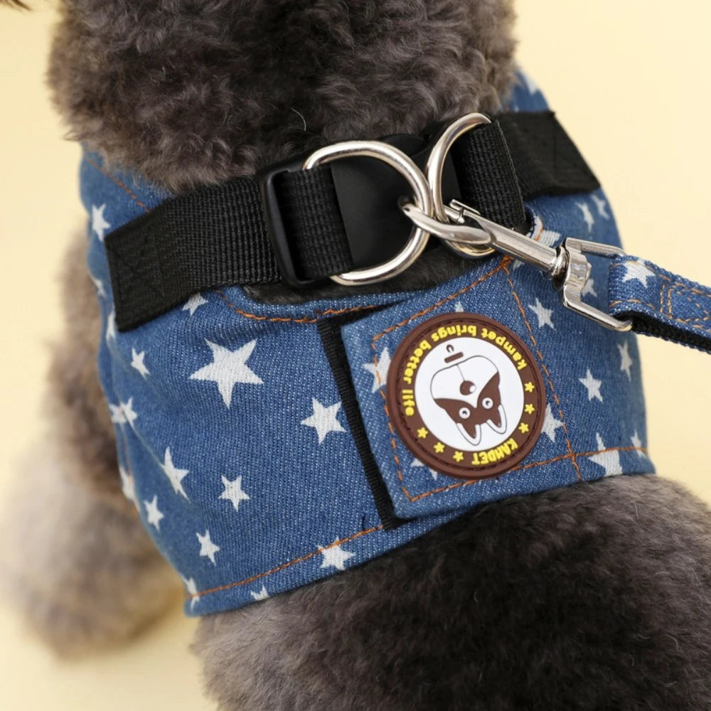 Pet Harness and Leash Set