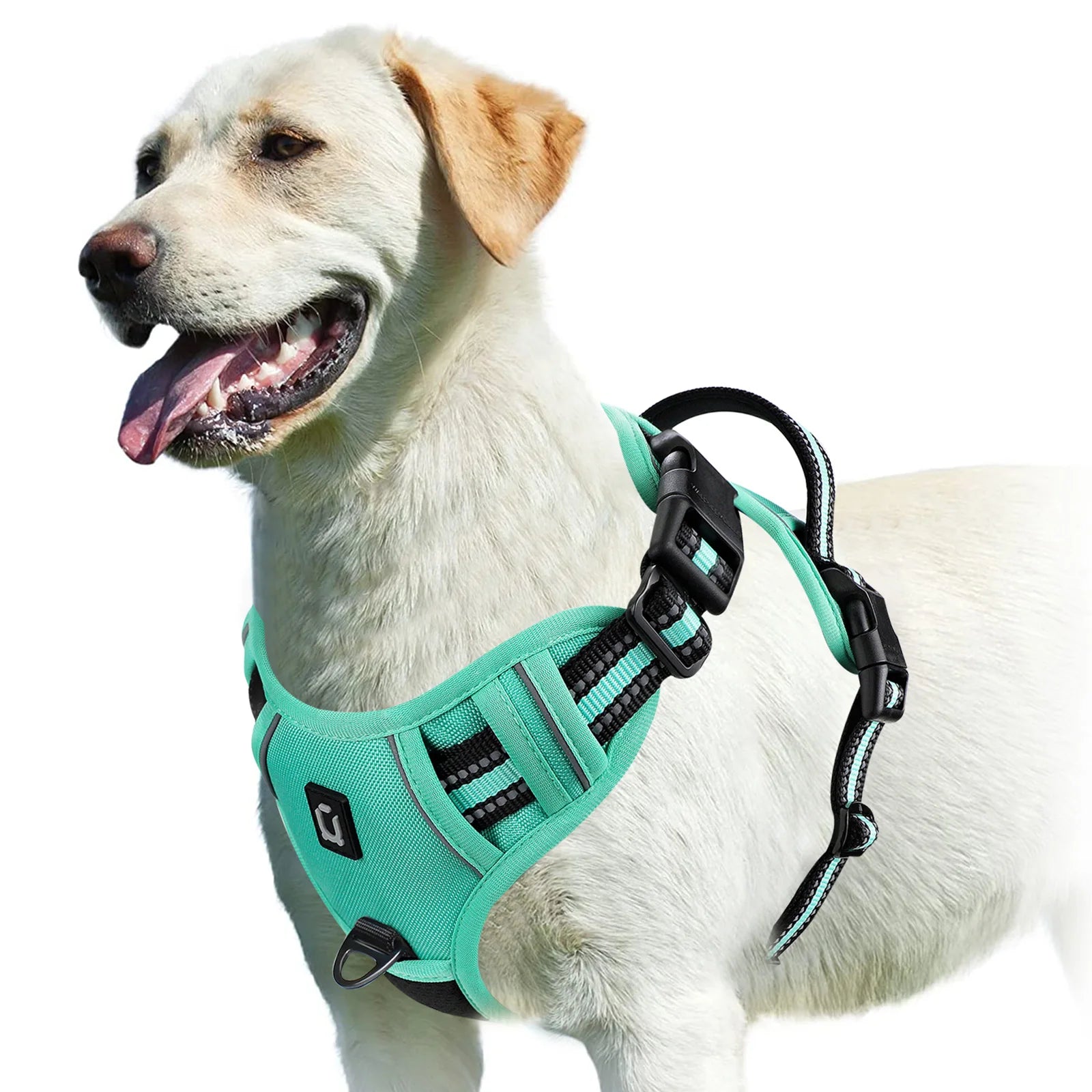 No Pull Dog Harness, Adjustable Soft Padded Pet Vest with Easy Control Handle for Training and Daily Walks