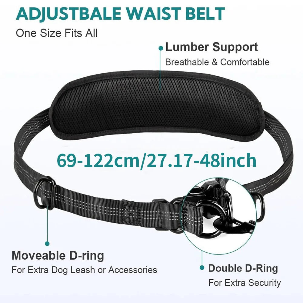 Hands-Free Dual Dog Leash with Storage Pouch | Crossbody & Waist Belt for 2 Dogs | No-Pull Bungee Traction