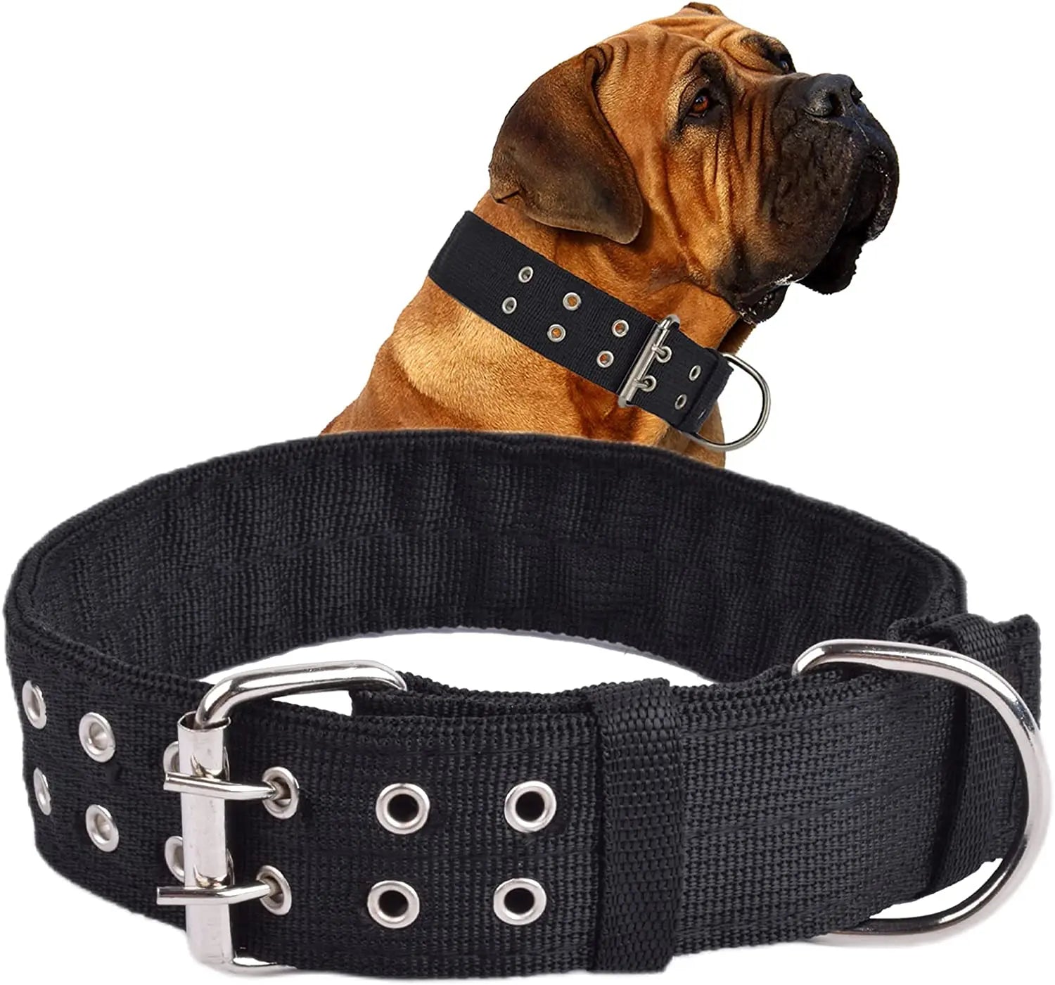 Heavy-Duty Tactical Military Dog Collar – 1.5"/2" Ultra-Wide Reinforced Nylon with Double-Pin Metal Buckle for Medium and Large Breeds