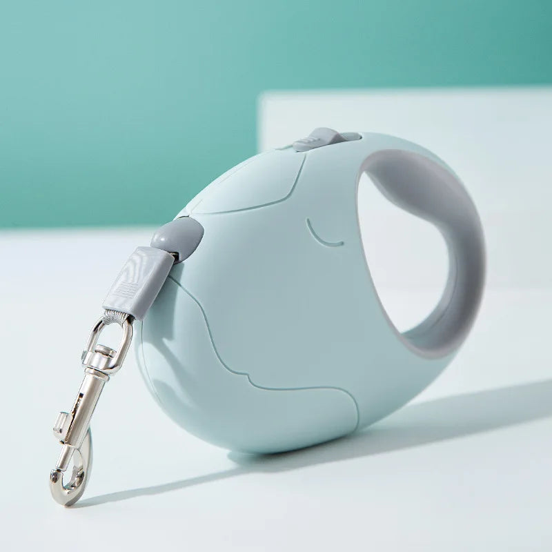 Ribbon Pet Walking Leash