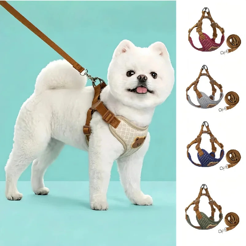 Pet Vest Harness & Leash Set