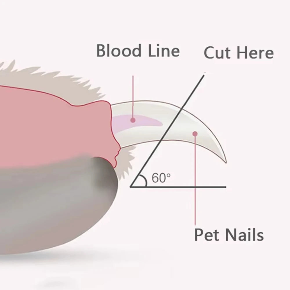 Professional Pet Nail Clippers with LED Light | Safe Paw Grooming Scissors for Dogs & Cats