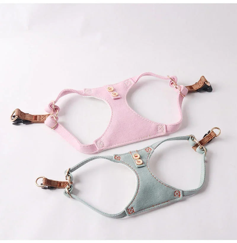 Dog Harness & Leash Set