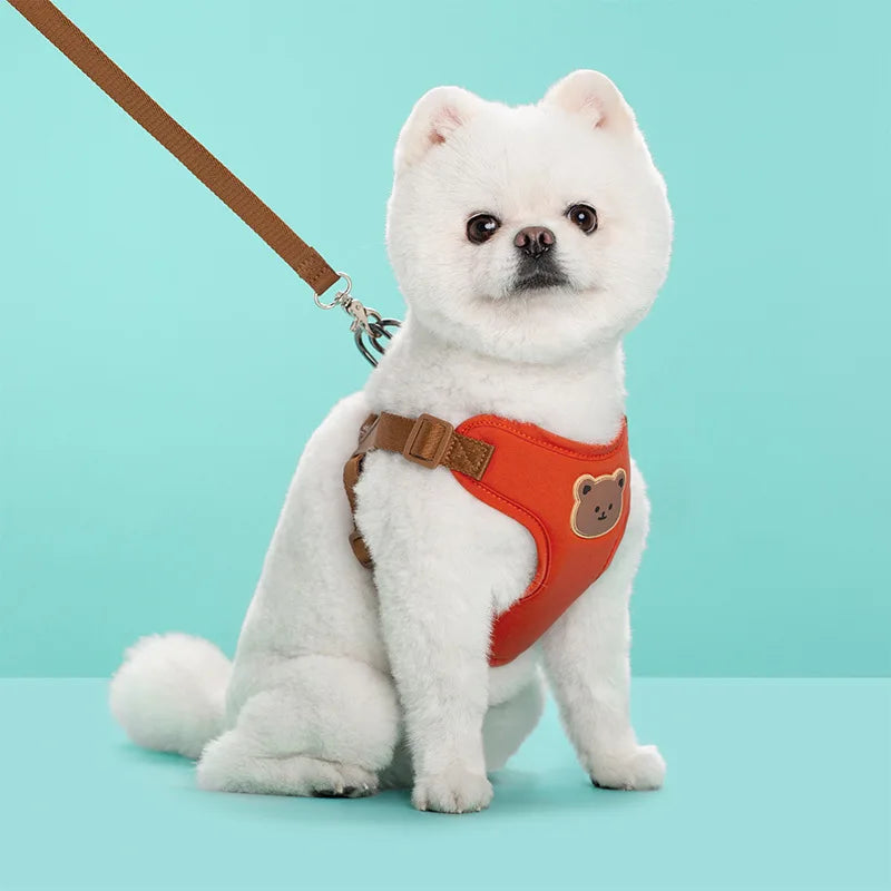 Pet Vest Harness & Leash Set