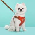 Pet Vest Harness & Leash Set