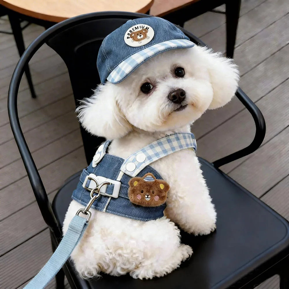 Pet Harness & Leash Set