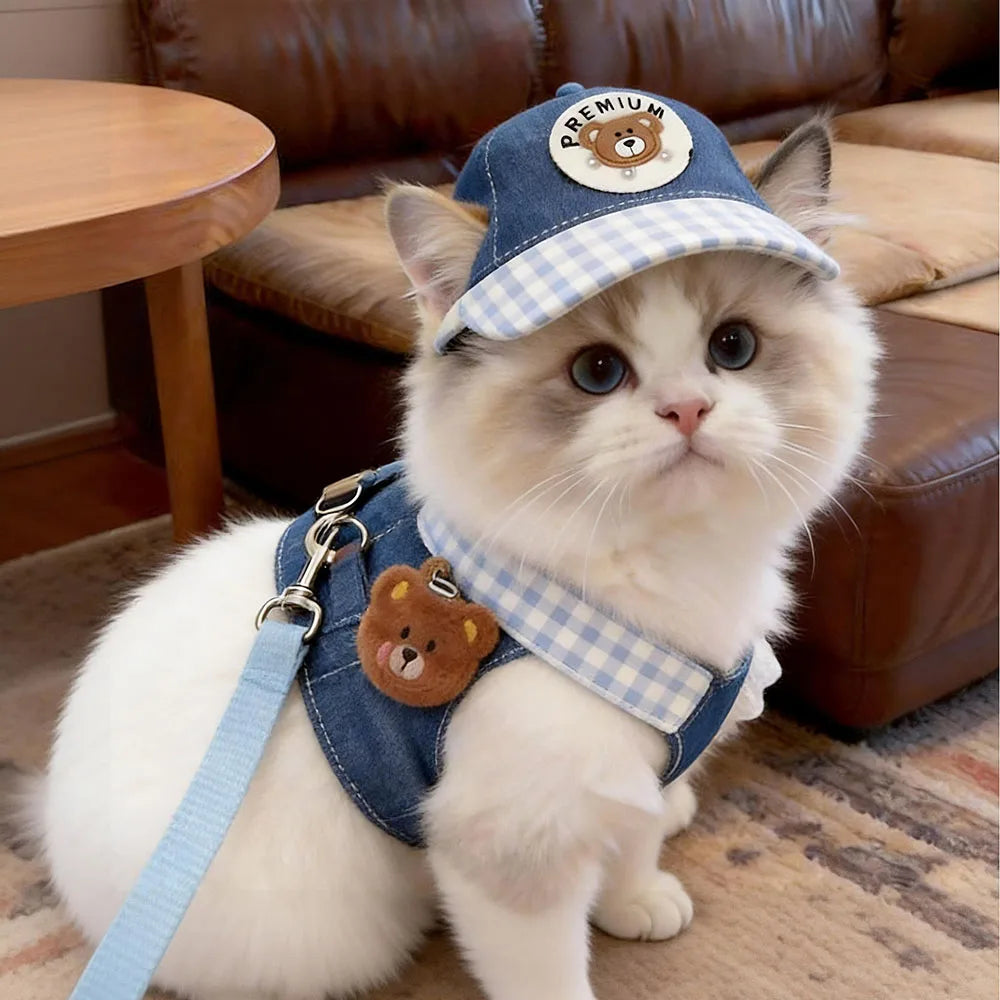 Pet Harness & Leash Set