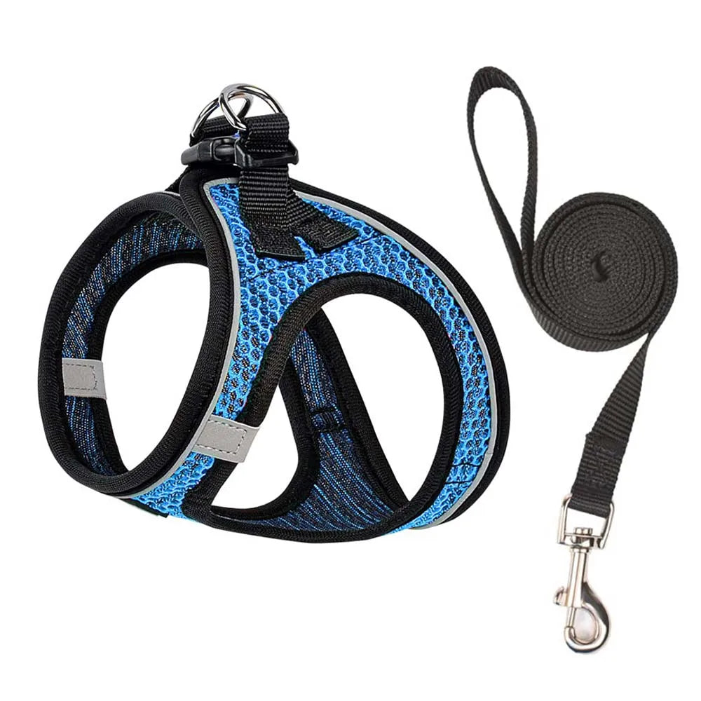 Pet Vest Harness & Leash Set