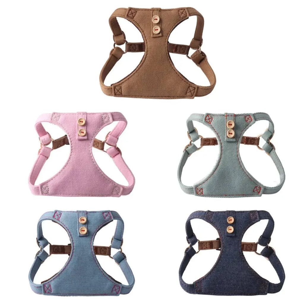 Dog Harness & Leash Set