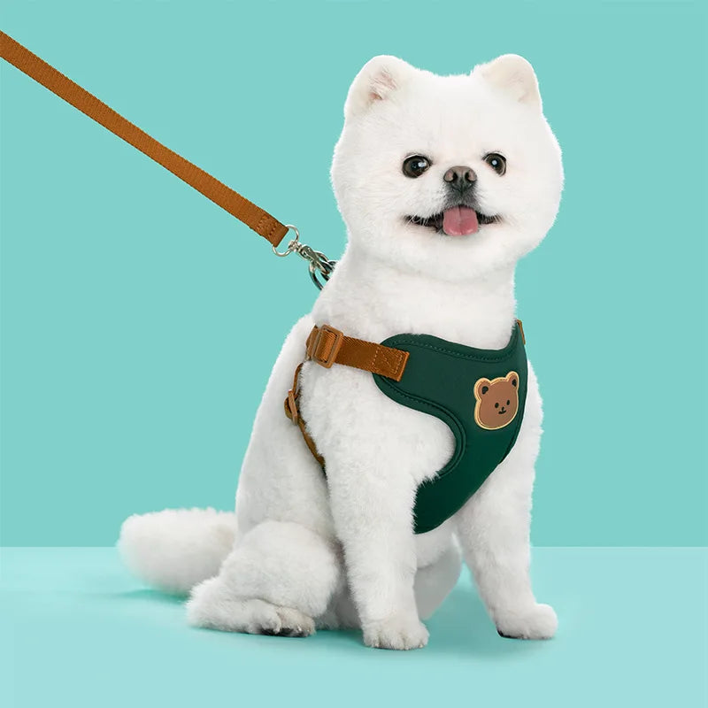 Pet Vest Harness & Leash Set