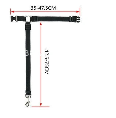 Pet Car Seat Belt