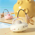 Smart Teaser Cat Toy