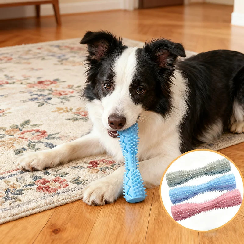 Dog Chew Toy