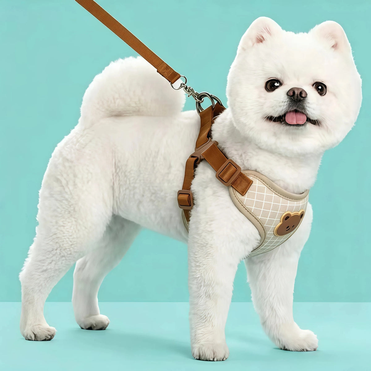Pet Vest Harness & Leash Set