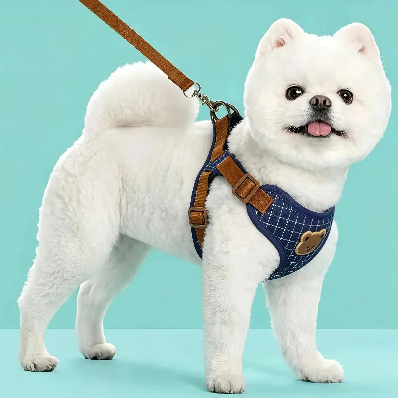 Pet Vest Harness & Leash Set