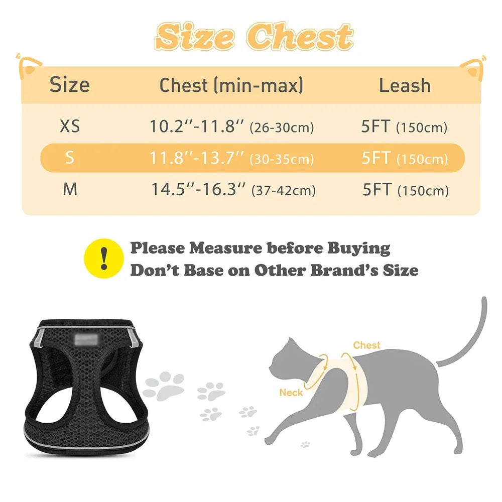 Pet Vest Harness & Leash Set