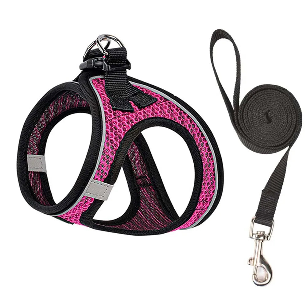 Pet Vest Harness & Leash Set