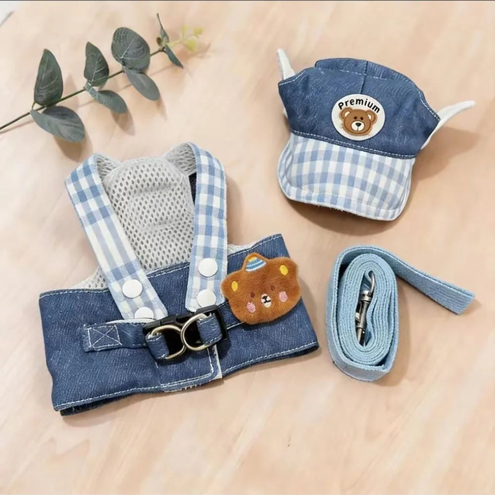 Pet Harness & Leash Set