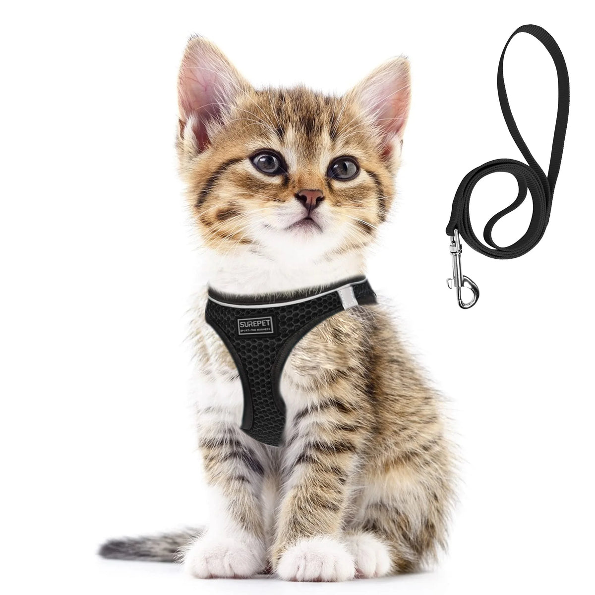 Pet Vest Harness & Leash Set